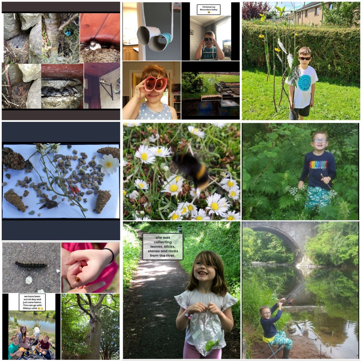 feature image